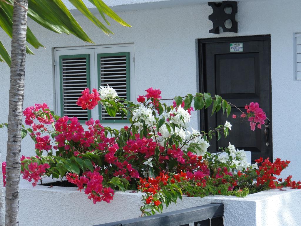 Apartament Plum Tree Club Christ Church Zewnętrze zdjęcie
